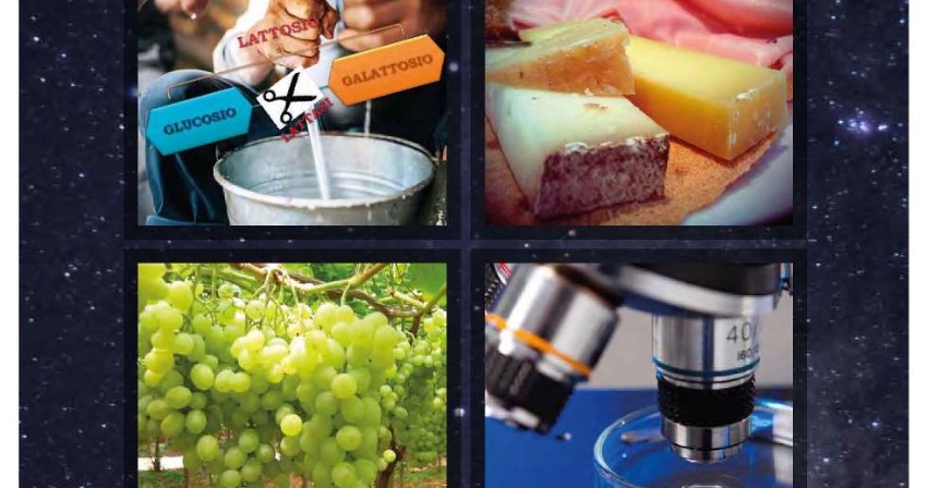 La Notte dei Ricercatori La Notte dei Ricercatori