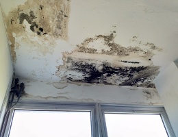 Allagata la scuola di via Cairoli, sospensione delle attività il 25 e 26 ottobre Allagata la scuola di via Cairoli, sospensione delle attività il 25 e 26 ottobre