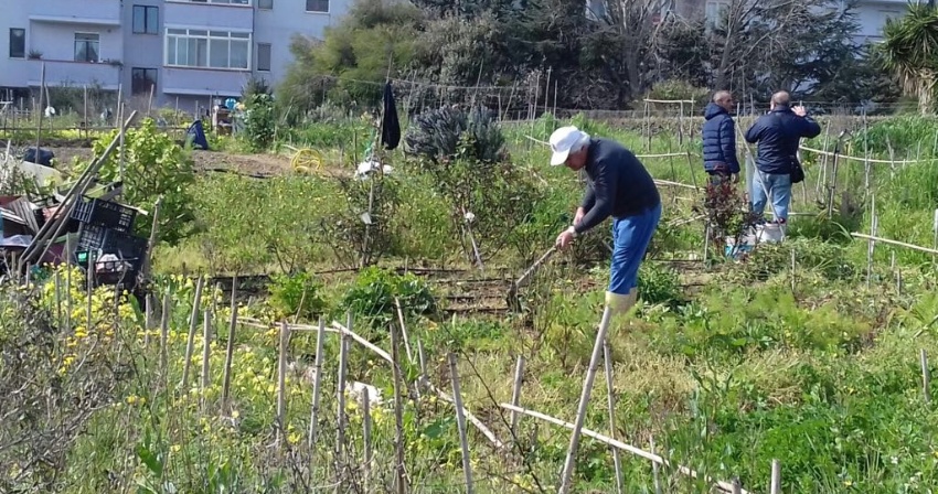 Orti urbani - Bando per 38 lotti in via Anglona Orti urbani - Bando per 38 lotti in via Anglona