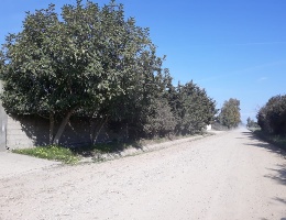 In corso i lavori di sistemazione delle strade vicinali. Già realizzati 28 chilometri su 54 In corso i lavori di sistemazione delle strade vicinali. Già realizzati 28 chilometri su 54