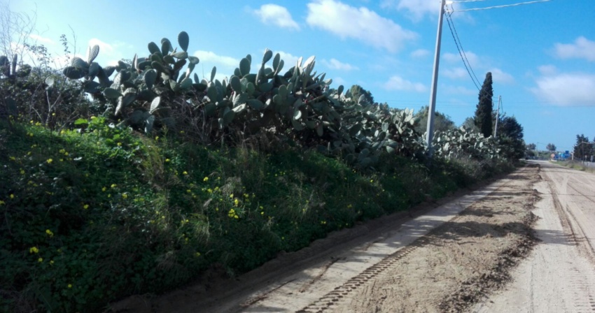 Approvato il progetto da 125 mila euro per le strade bianche Approvato il progetto da 125 mila euro per le strade bianche