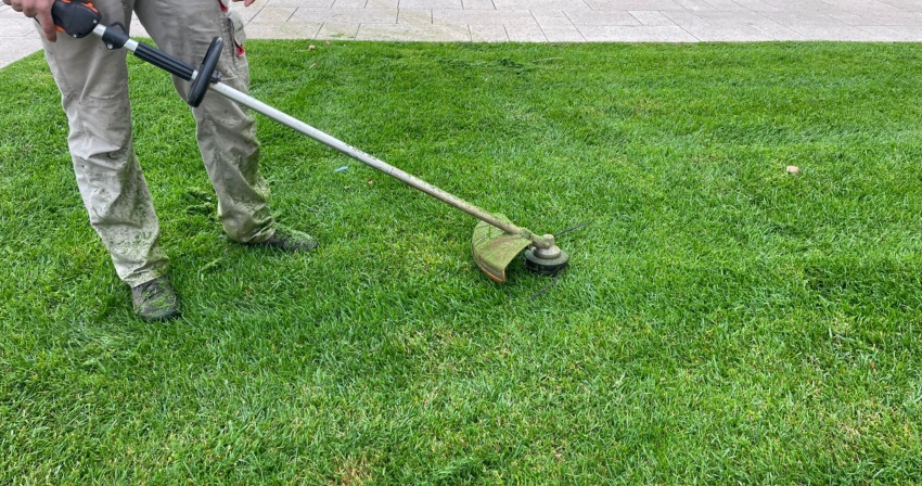 Adotta un'aiuola. Al via le domande per cittadini, associazioni, scuole e attività economiche Adotta un'aiuola. Al via le domande per cittadini, associazioni, scuole e attività economiche