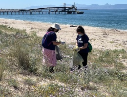 Plastic free - 10 quintali di rifiuti raccolti a Torre Grande Plastic free - 10 quintali di rifiuti raccolti a Torre Grande
