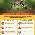 Visualizza la notizia: Zanzare, come prevenire la proliferazione e proteggersi dalle punture