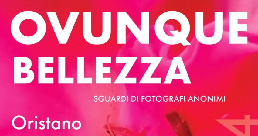 Italia Nostra - All'Hotel Mistral 2 la mostra fotografica "Ovunque bellezza" Italia Nostra - All'Hotel Mistral 2 la mostra fotografica "Ovunque bellezza"