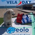 Visualizza la notizia: Vela Day - Da Eolo Torre Grande pulizia della spiaggia e sport