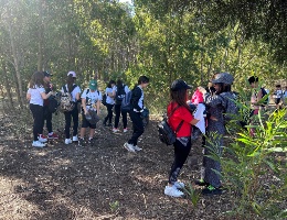 Studenti volontari impegnati nella giornata ecologica nella pineta di Torre Grande Studenti volontari impegnati nella giornata ecologica nella pineta di Torre Grande