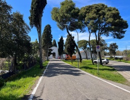 il viale di ingresso al cimitero il viale di ingresso al cimitero