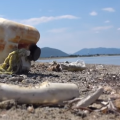 Visualizza la notizia: Il Consiglio comunale di Oristano dichiara guerra alla plastica