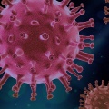Visualizza la notizia: Covid - A Oristano salgono a 38 i decessi attribuibili al virus 