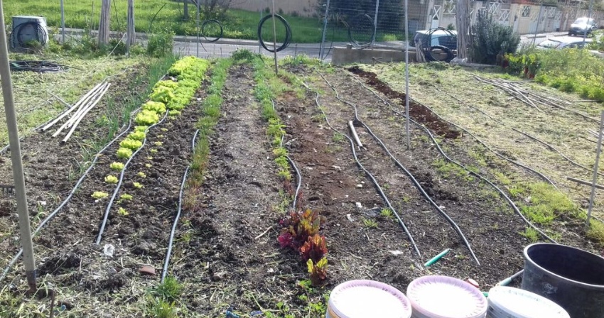 Orti urbani - Assegnati i lotti a famiglie, anziani e associazioni Orti urbani - Assegnati i lotti a famiglie, anziani e associazioni