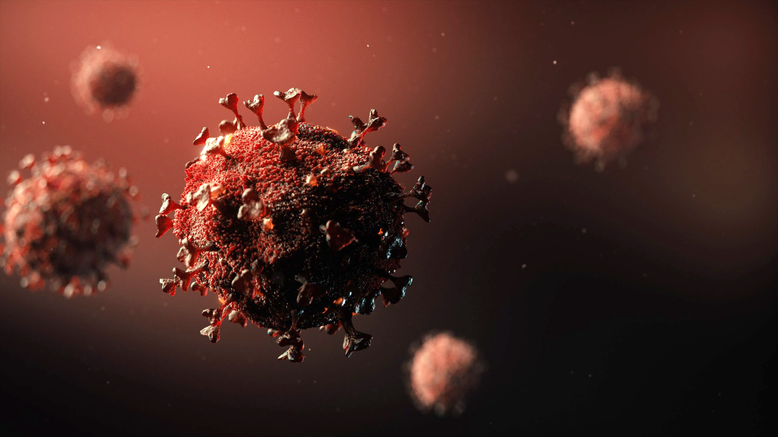 Coronavirus Coronavirus