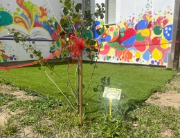 Il giardino curato dagli alunni dell’istituto di viale Diaz Il giardino curato dagli alunni dell’istituto di viale Diaz