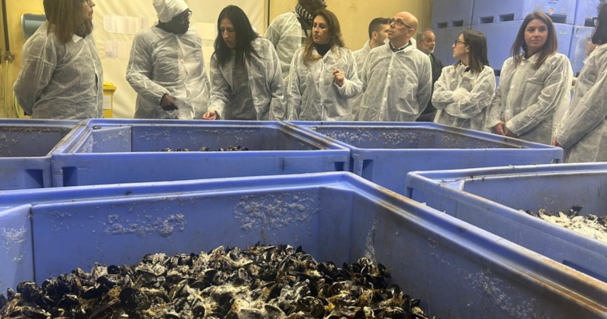 La visita del gruppo di lavoro del progetto Petit Noires all stabilimento Nieddittas ad Arborea La visita del gruppo di lavoro del progetto Petit Noires all stabilimento Nieddittas ad Arborea