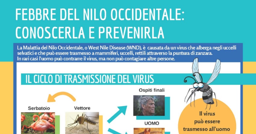 Febbre del Nilo - I consigli della Asl 5 per proteggersi dal virus Febbre del Nilo - I consigli della Asl 5 per proteggersi dal virus