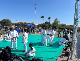 Parco sportivo di Torangius - Esibizione di arti marziali Parco sportivo di Torangius - Esibizione di arti marziali