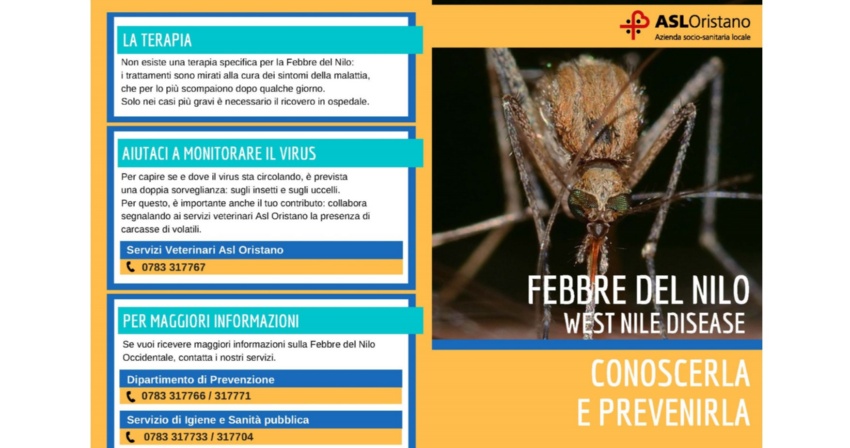 Febbre del Nilo - Nuova ordinanza del Sindaco di Oristano Febbre del Nilo - Nuova ordinanza del Sindaco di Oristano